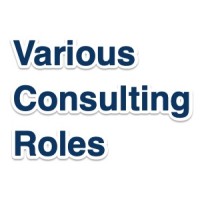 Various Consulting Roles