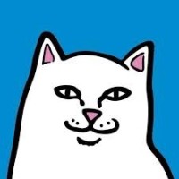 Ripndip Brasil logo - Similar company to Ripndip