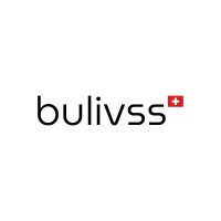 bulivss + logo - Similar company to E-Arch