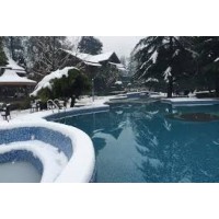 Apple Valley Resort (Kullu) logo - Similar company to Himalayan Cottages