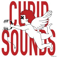 Cupid Sounds logo - Similar company to Nzdesigns