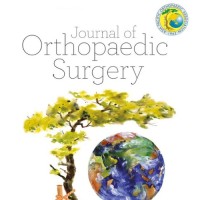 Journal of Orthopaedic Surgery logo - Similar company to Le Traumato