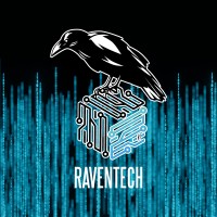 RavenTech Consulting Ltd. logo - Similar company to Raventech: Consulting-Engineering