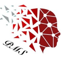 Prime Management and Solutions logo - Similar company to Management Prime Solutions