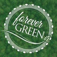 Forever Green Hemp Inc.