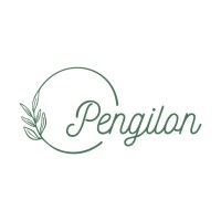 Pengilon logo - Similar company to Medcom Ugm