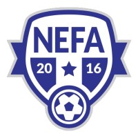 The North of England Football Academy logo - Similar company to Viaggio Calcistico