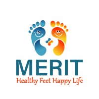 Merit Medilinks logo - Similar company to Techeela