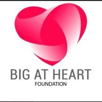 Big At Heart Foundation logo - Similar company to Romainder International