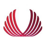 Vision Accountants logo - Similar company to Drict