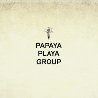 Papaya Playa Group logo - Similar company to Boca De Agua
