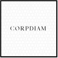 CORPDIAM logo - Similar company to Dídiamant
