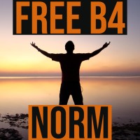 Free B4 Norm logo - Similar company to Appable Technologies Pvt. Ltd.