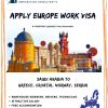 Immigration consultant saudi Arabia logo - Similar company to Visa 1