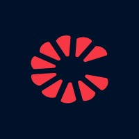 Connectoma Neurotech logo - Similar company to Centro Elphis