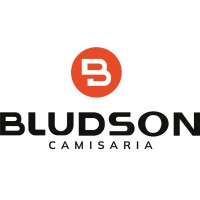 BLUDSON INDUSTRIA E COMERCIO LTDA logo - Similar company to Orv Confeccoes Ltda