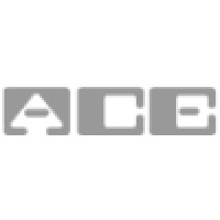 Ace Associated Computer Experts Bv