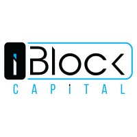 iBlock Capital logo - Similar company to Smart Arbitrage Technologies