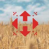 Нова пошта logo - Similar company to Allo