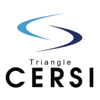 Triangle CERSI logo - Similar company to Datasolids