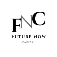 Future Now Capital logo - Similar company to Luminur Projects
