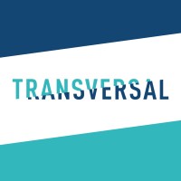 TRANSVERSAL Consultoria logo - Similar company to 3045 Studio
