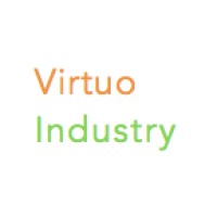 Virtuo Group