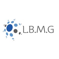 L.B.M.G logo - Similar company to Avoidtax