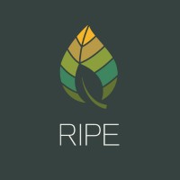 Realizing Increased Photosynthetic Efficiency (RIPE) Project logo - Similar company to Spb Global Services