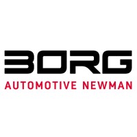 BORG Automotive Newman logo - Similar company to Funmak