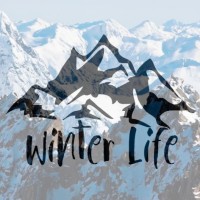 Winter Life - Fischer Ski Argentina logo - Similar company to Stamp Show