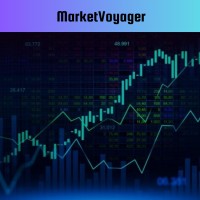 MarketVoyager logo - Similar company to Naturevault