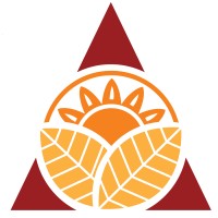 Avani Projects logo - Similar company to Mobedo Consulting
