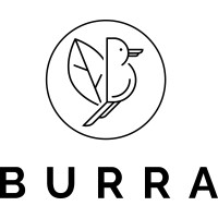 Burra Bristol logo - Similar company to Lida Solutions