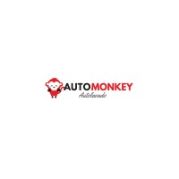 Auto Monkey