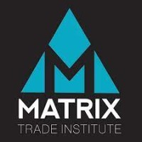Matrix Trade Institute logo - Similar company to Roll It Girl