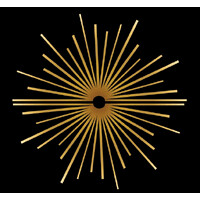 Summermusik (Cincinnati Chamber Orchestra) logo - Similar company to Artists For Peace
