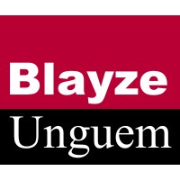 Blayze Unguem Ltd logo - Similar company to Litebulb Group
