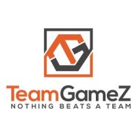 TeamGameZ logo - Similar company to Clip Quality Brands