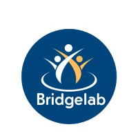 Bridgelab Africa logo - Similar company to Prospect Mobility
