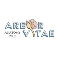 Arbor Vitae Anatomy Club logo - Similar company to Teman Bicara