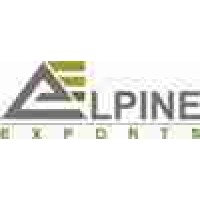 Alpine Exports logo - Similar company to Everything Digital