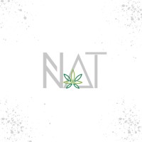 NATPM logo - Similar company to Natpm Consultancy Services