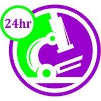 Twenty Four Hour Diagnolabs Clinical Laboratories logo - Similar company to Patholory Laboratories