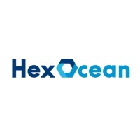 HexOcean logo - Similar company to Rs-Code