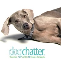 Dog Chatter