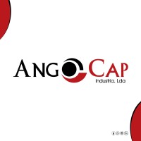 Angocap Indústria logo - Similar company to Pcsnet Lda