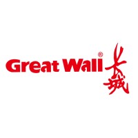 Hunan Great Wall Computer System Co., Ltd. logo - Similar company to Vagin