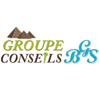 Groupe Conseils BGS Inc. logo - Similar company to Groupe Bgs