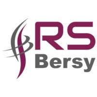 RS Bersy Gestión 2002 logo - Similar company to 𝗡𝗲𝘄 𝗣𝗮𝗿𝗮𝗱𝗶𝗴𝗺 Solutions